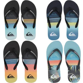 Quiksilver Mens MoloKai Panel Flip Flops